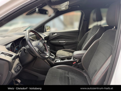 Ford Kuga Gebrauchtwagen Ford Kuga Gebrauchtwagen