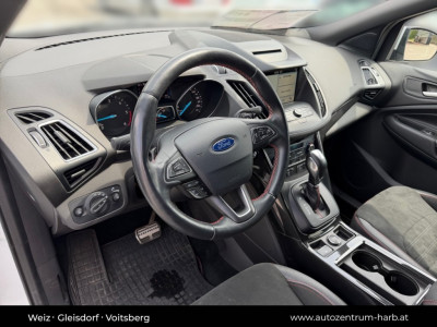 Ford Kuga Gebrauchtwagen Ford Kuga Gebrauchtwagen
