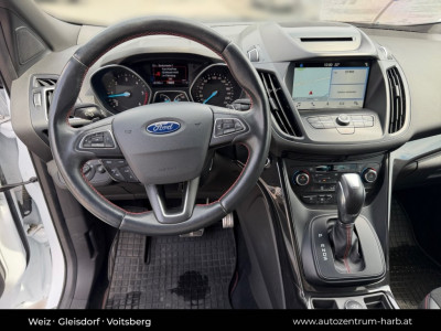 Ford Kuga Gebrauchtwagen Ford Kuga Gebrauchtwagen