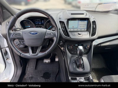 Ford Kuga Gebrauchtwagen Ford Kuga Gebrauchtwagen