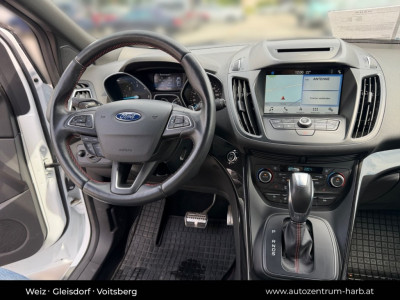 Ford Kuga Gebrauchtwagen Ford Kuga Gebrauchtwagen