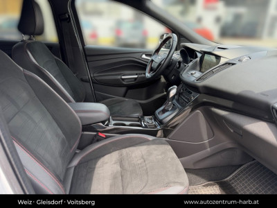 Ford Kuga Gebrauchtwagen Ford Kuga Gebrauchtwagen