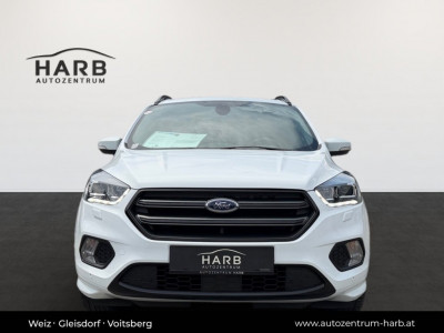 Ford Kuga Gebrauchtwagen Ford Kuga Gebrauchtwagen