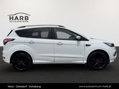 Ford Kuga Gebrauchtwagen Ford Kuga Gebrauchtwagen