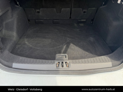 Ford Kuga Gebrauchtwagen Ford Kuga Gebrauchtwagen