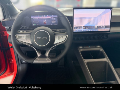 BYD Dolphin G Vorführwagen
