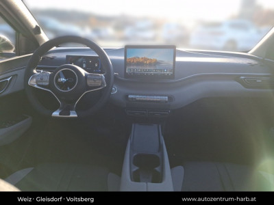 BYD Dolphin Surf Vorführwagen