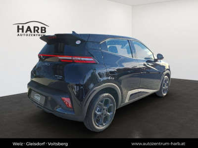 BYD Dolphin Surf Vorführwagen