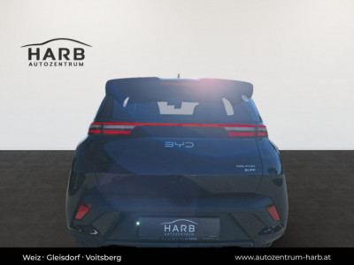 BYD Dolphin Surf Vorführwagen