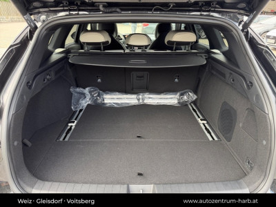 KIA K4 Vorführwagen KIA K4 Vorführwagen