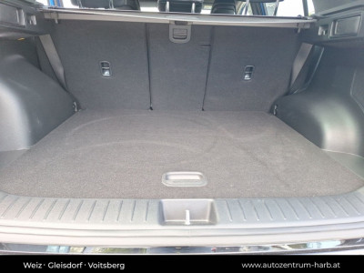 KIA Sportage Gebrauchtwagen KIA Sportage Gebrauchtwagen