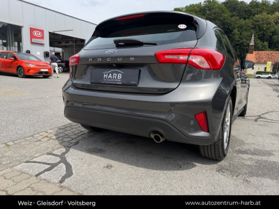 Ford Focus Gebrauchtwagen