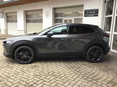 Mazda CX-30 Tageszulassung