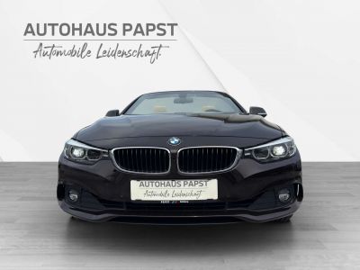 BMW 4er Gebrauchtwagen
