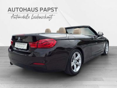 BMW 4er Gebrauchtwagen