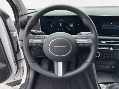 Hyundai Tucson Tageszulassung
