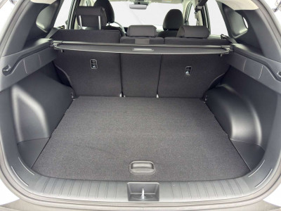 Hyundai Tucson Tageszulassung