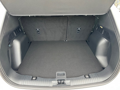 Ford Kuga Vorführwagen