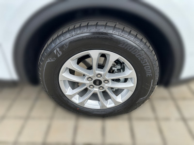 Ford Kuga Vorführwagen