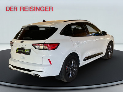 Ford Kuga Gebrauchtwagen Ford Kuga Gebrauchtwagen