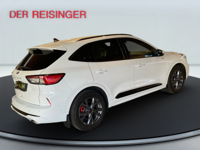 Ford Kuga Gebrauchtwagen Ford Kuga Gebrauchtwagen