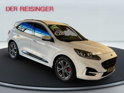 Ford Kuga Gebrauchtwagen