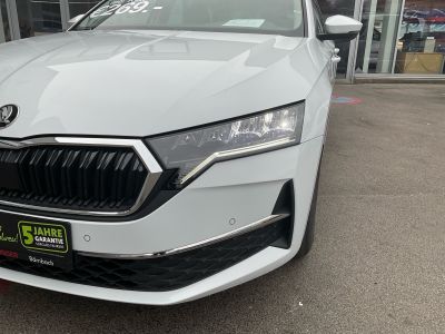 Skoda Octavia Gebrauchtwagen