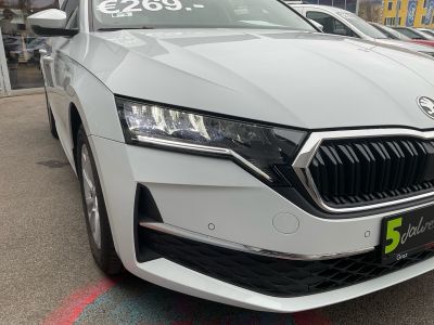 Skoda Octavia Gebrauchtwagen