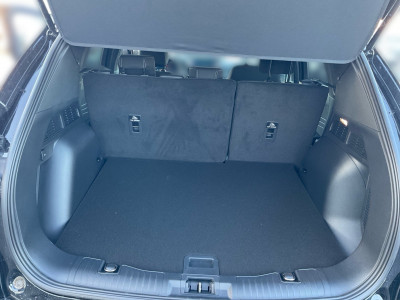 Ford Kuga Vorführwagen