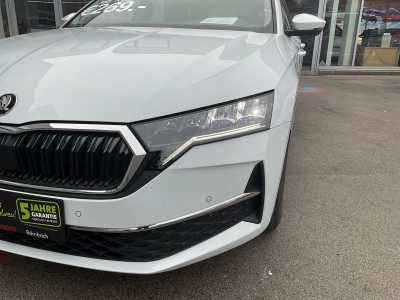 Skoda Octavia Gebrauchtwagen Skoda Octavia Gebrauchtwagen