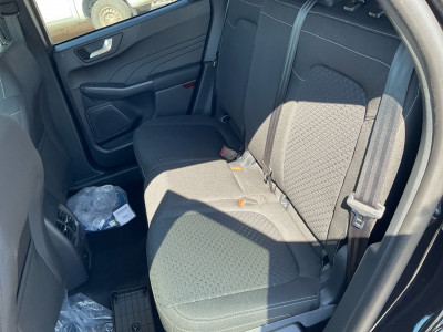 Ford Kuga Neuwagen
