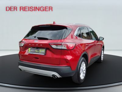 Ford Kuga Gebrauchtwagen Ford Kuga Gebrauchtwagen