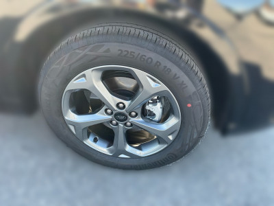Ford Kuga Vorführwagen Ford Kuga Vorführwagen