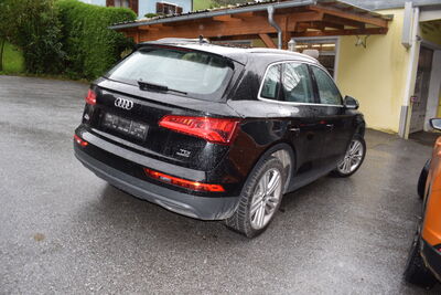 Audi Q5 Gebrauchtwagen