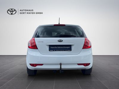 KIA Ceed Gebrauchtwagen KIA Ceed Gebrauchtwagen