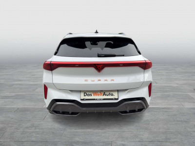 Cupra Terramar Gebrauchtwagen Cupra Terramar Gebrauchtwagen