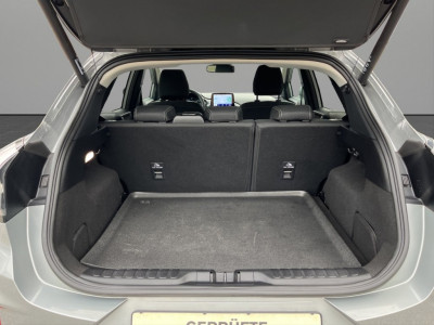 Ford Puma Gebrauchtwagen Ford Puma Gebrauchtwagen