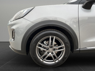 Ford Puma Gebrauchtwagen Ford Puma Gebrauchtwagen