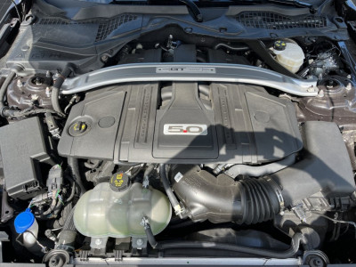 Ford Mustang Gebrauchtwagen