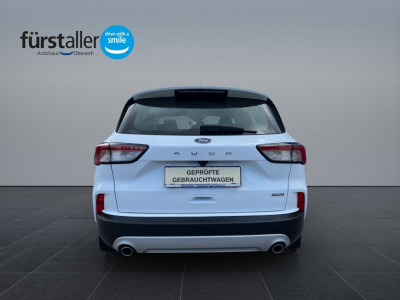 Ford Kuga Gebrauchtwagen Ford Kuga Gebrauchtwagen