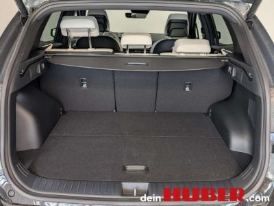 KIA Sportage Vorführwagen KIA Sportage Vorführwagen