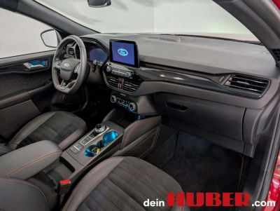 Ford Kuga Gebrauchtwagen Ford Kuga Gebrauchtwagen