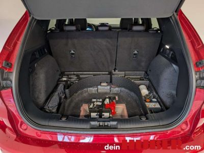 Ford Kuga Gebrauchtwagen Ford Kuga Gebrauchtwagen