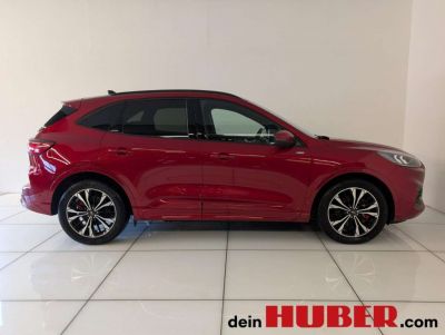 Ford Kuga Gebrauchtwagen Ford Kuga Gebrauchtwagen