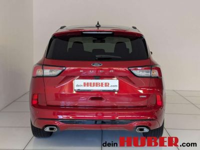 Ford Kuga Gebrauchtwagen Ford Kuga Gebrauchtwagen