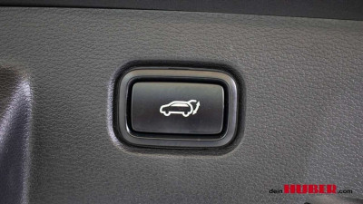 KIA Sportage Vorführwagen