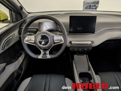 BYD Dolphin Surf Neuwagen