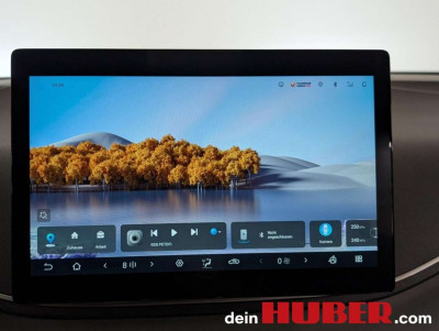 BYD Dolphin Surf Neuwagen