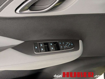 BYD Dolphin Surf Neuwagen