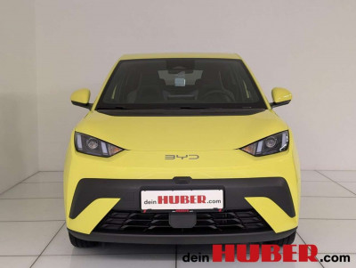 BYD Dolphin Surf Neuwagen